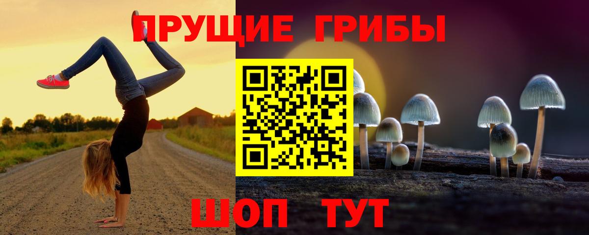 Донской  купить наркоту  Галлюциногенные грибы MAGIC MUSHROOMS  Вход с VPN  Галлюциногенные грибы Psilocybine cubensis 